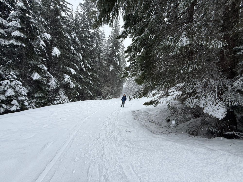 Snowshoeing up the trail to high hut