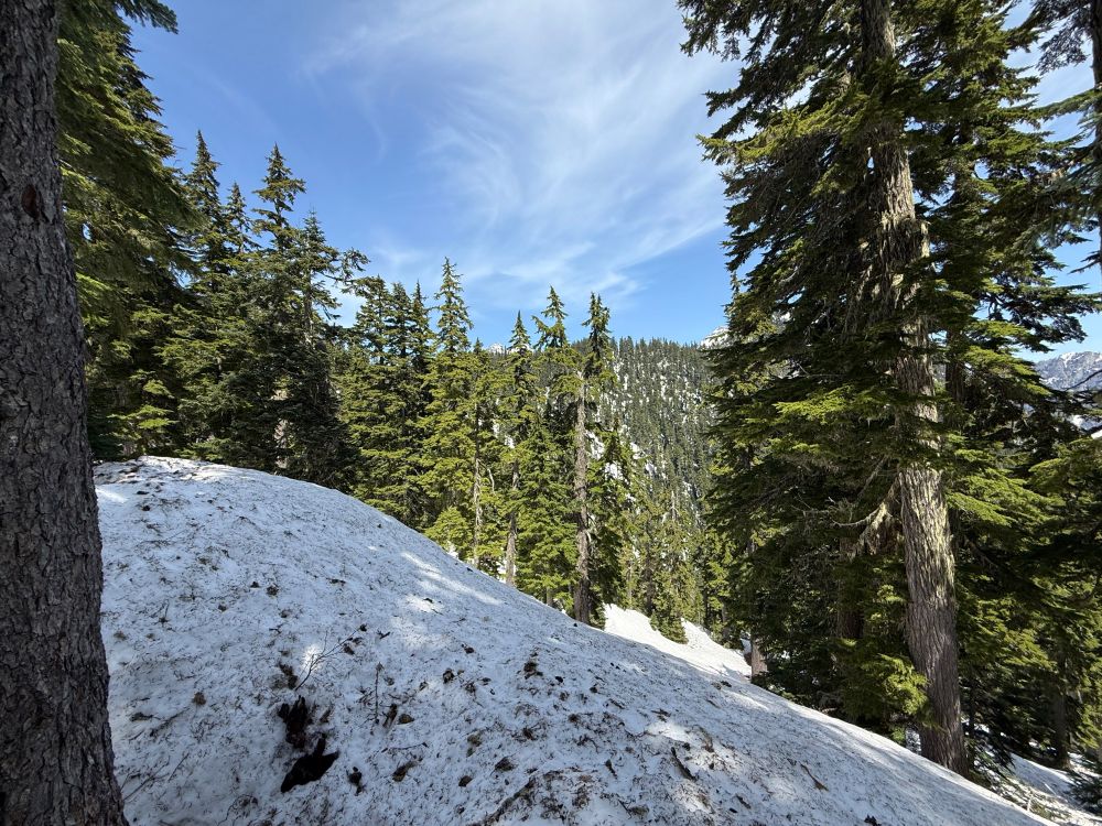 View of steep slopes near the side of the trail.