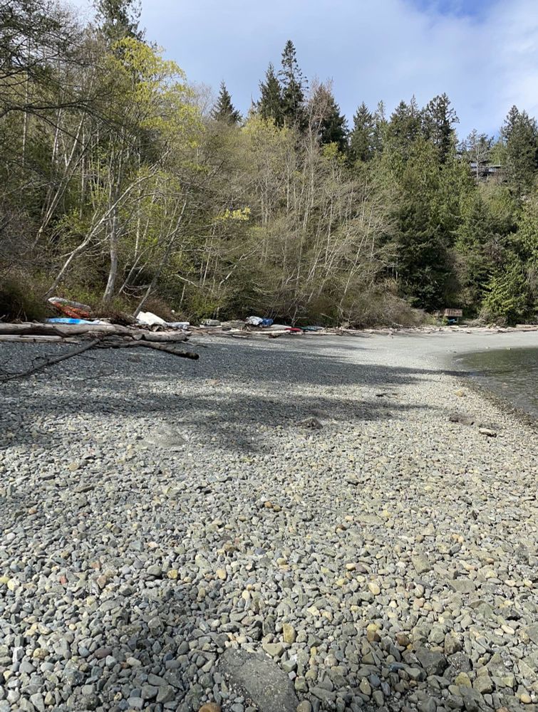 Photo of a rocky beach with some kayaks pulled up on shore in the trees.
