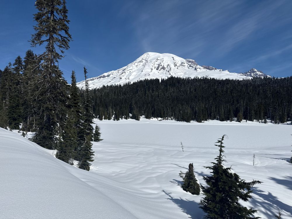 Mt Rainier view from Reflection Lake.