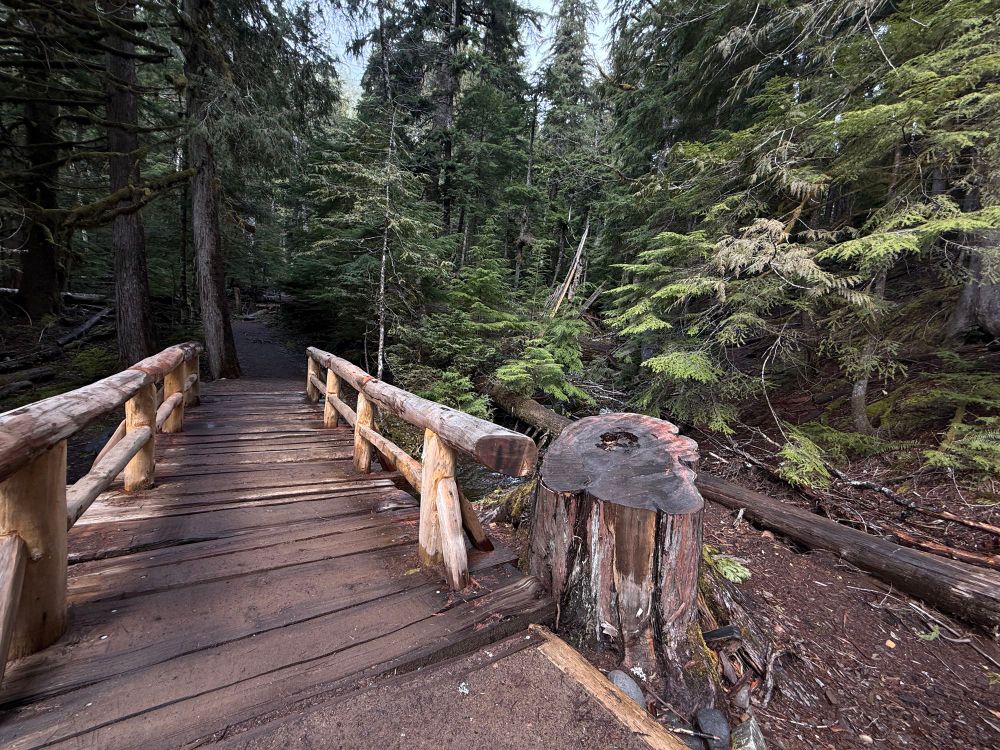 A walking trail near Longmire