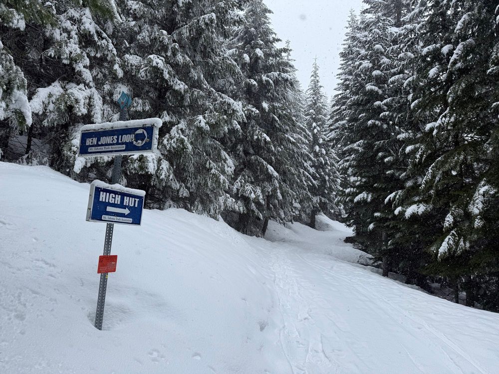 Photos showing a snowshoe trail
