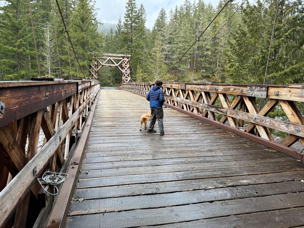 The Nisqually River suspension Bridge.