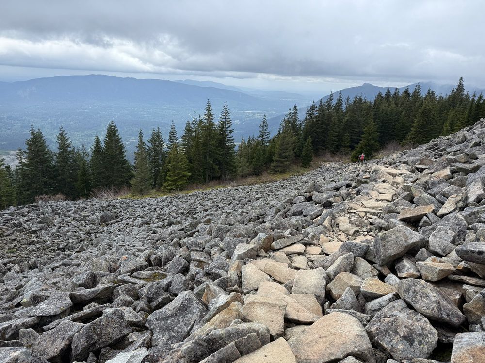 Trail through the scree field.