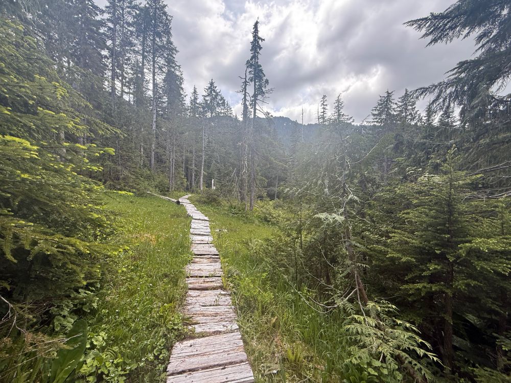 Part of the trail to the lake, through a boggy area