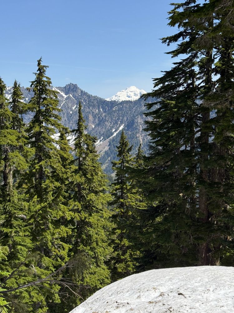 A view of a mountain from a snow covered trail.