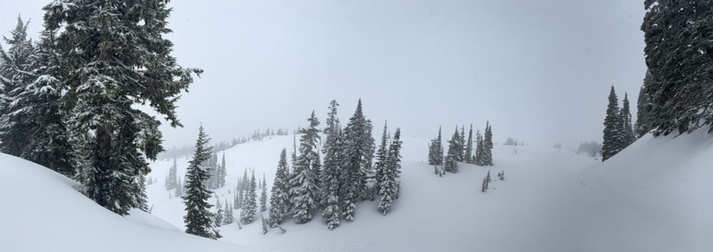 Snowy view while on Mt Rainier 