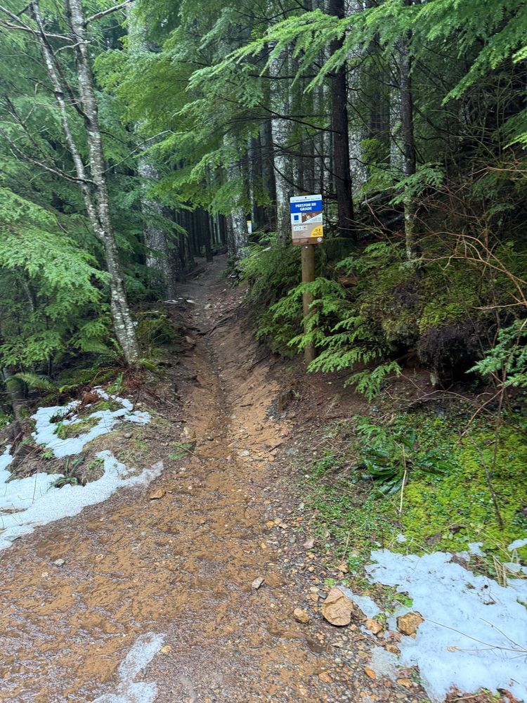 Hiking / Mtn Biking trail in the trees.  