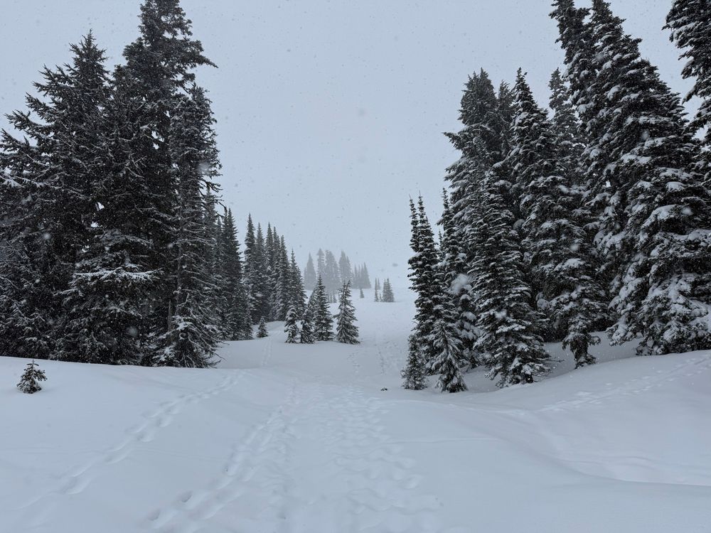 Snowy view while on Mt Rainier 