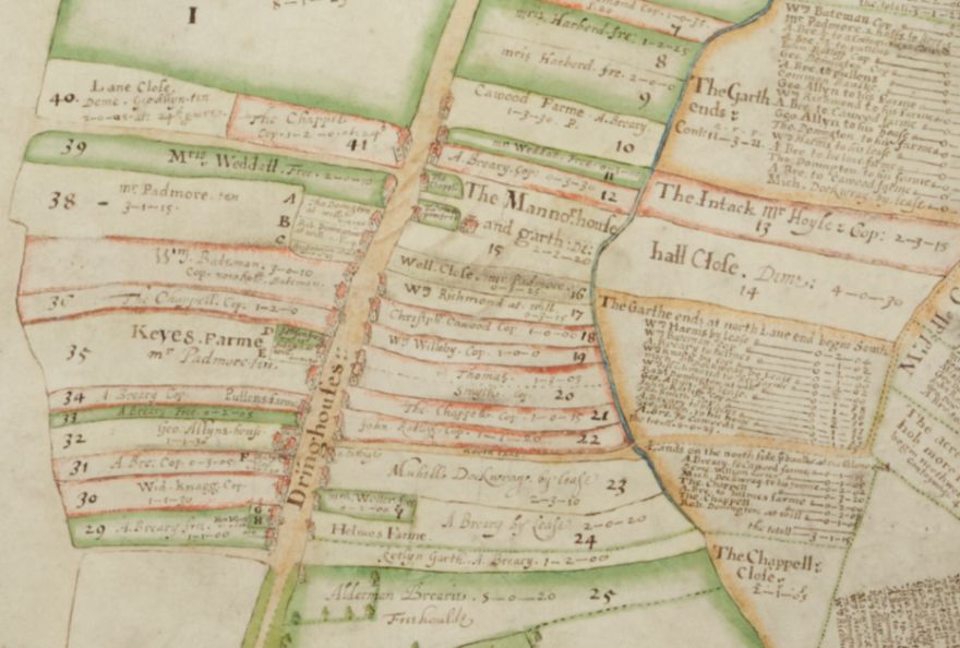 A zoomed in section showning the village of Dringhouses. It shows the land ownsership as well as the buildings and dwellings of Dringhouses at the time. 