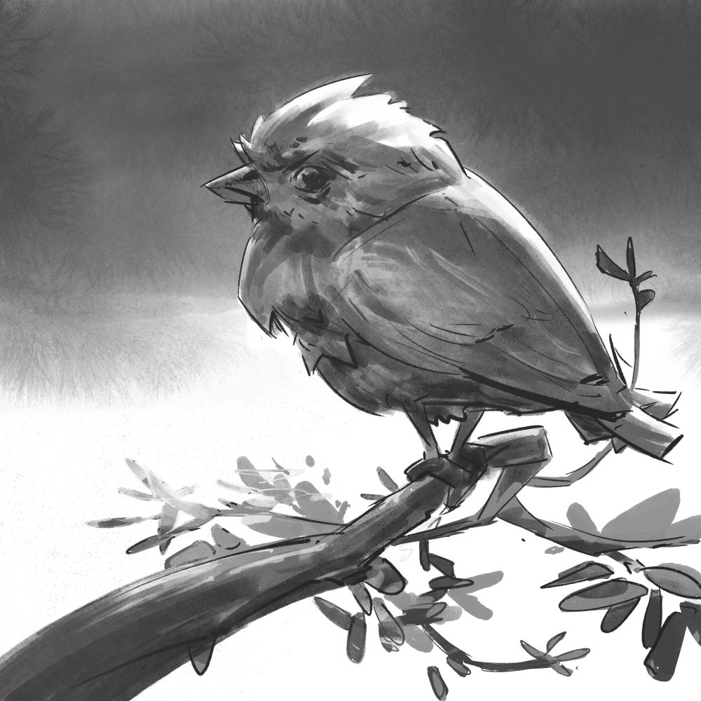 A small puffy bird with a furrowed brow, sitting on a branch with a dark sky in the distance. #art