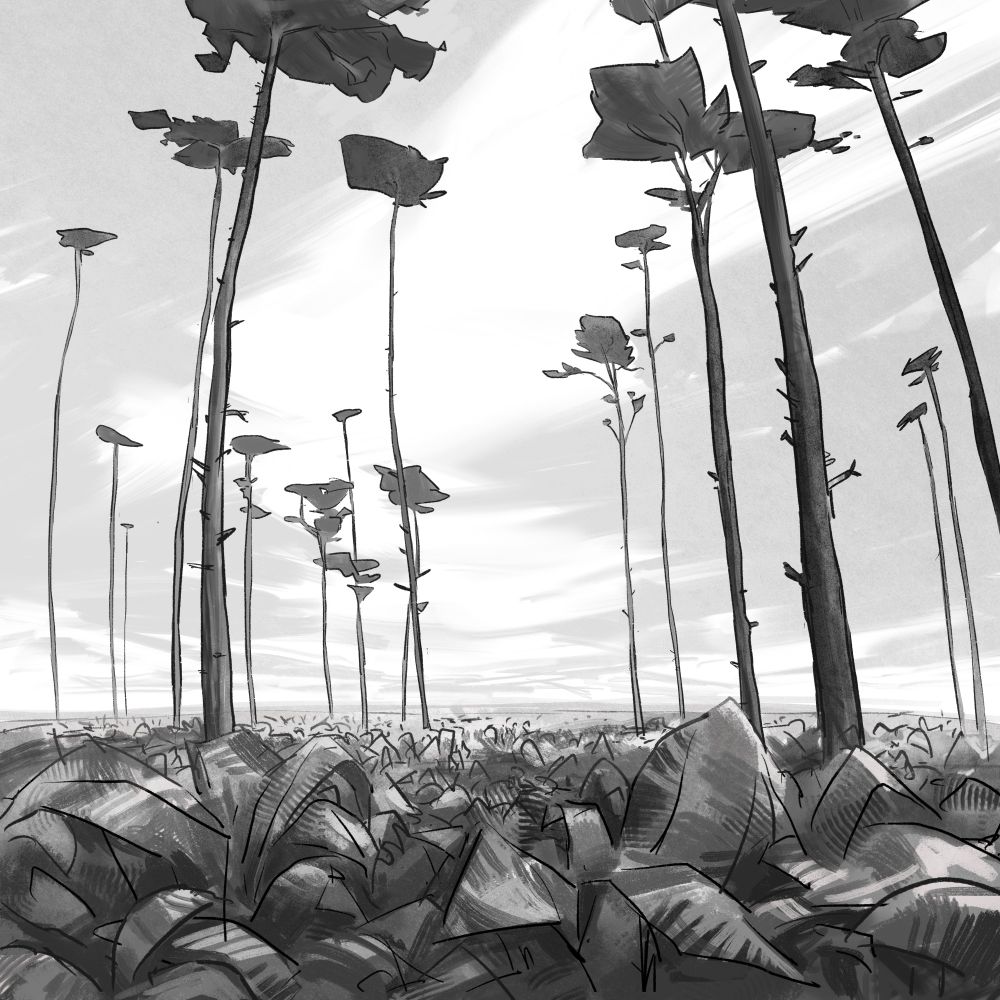 A seemingly endless plain of ferns with tall, alien-looking trees that stretch out into the sky. #art