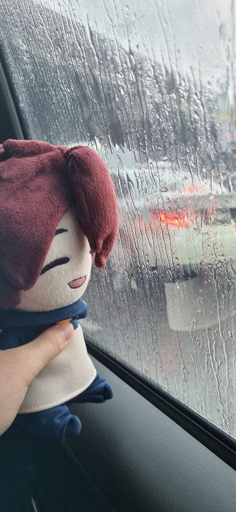Leonardo watch plush staring into a car window, that is covered in raindrops