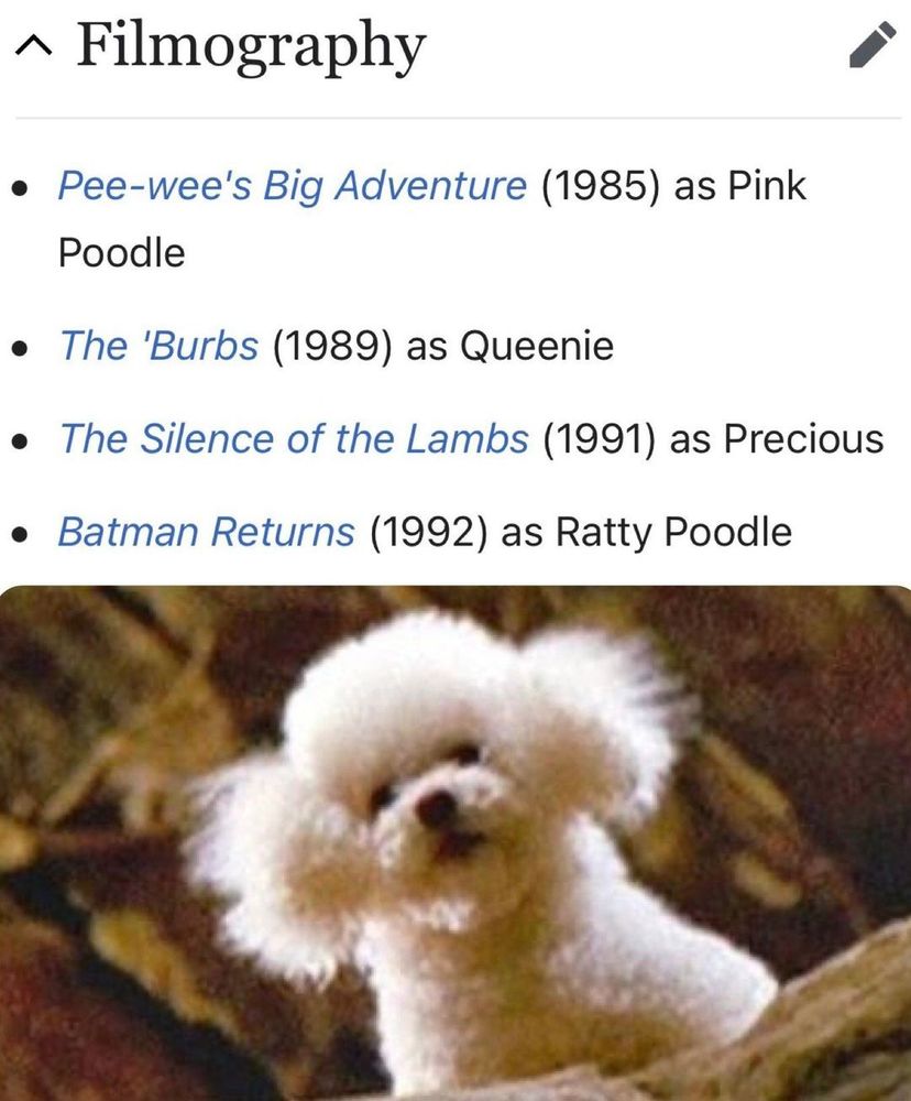 filmography for the poodle Darla, listing
Pee-wee's Big Adventure
the 'Burbs
The Silence of the Lambs
and
Batman Returns