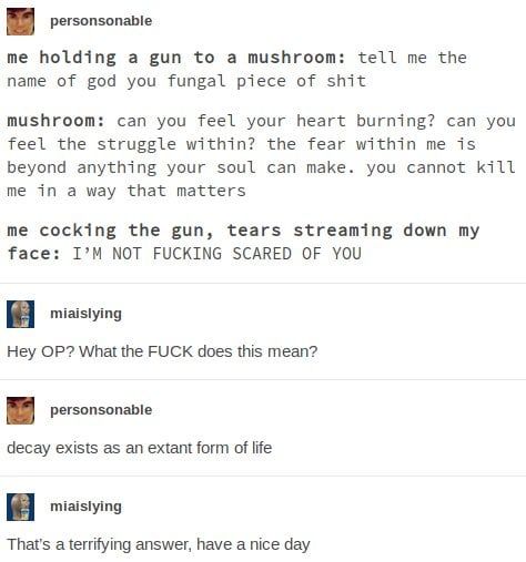 poster 'personsonable':
me holding a gun to a mushroom: tell me the name of god you fungal piece of shit
mushroom: can you feel your heart burning? can you feel the struggle within? the fear within me is beyond anything your soul can make.  you cannot kill me in a way that matters.
me, cocking the gun, tears streaming down my face: I'M NOT FUCKING SCARED OF YOU
poster 'miaislying':
hey OP? what the FUCK dos this mean?
poster 'personsonable':
decay exists as an extant form of life
poster 'miaislying' 
that's a terrifying answer, have a nice day