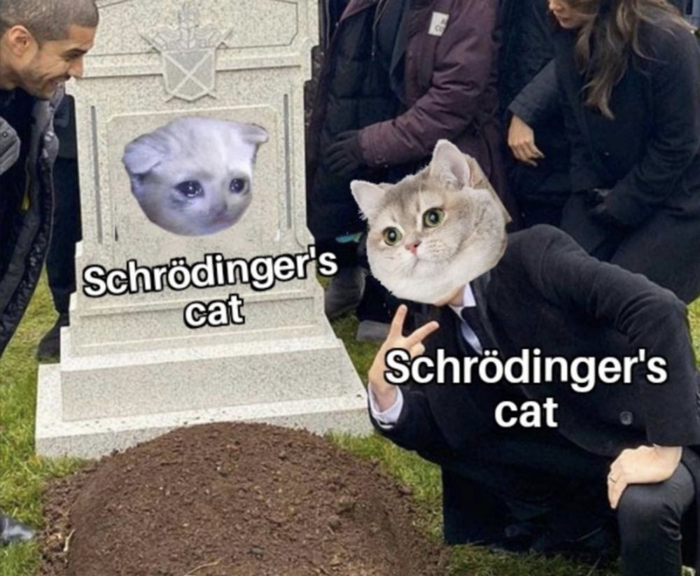 gravestone with sad Schrödinger's cat
crouching over it throwing ✌️ is a smiling Schrödinger's cat