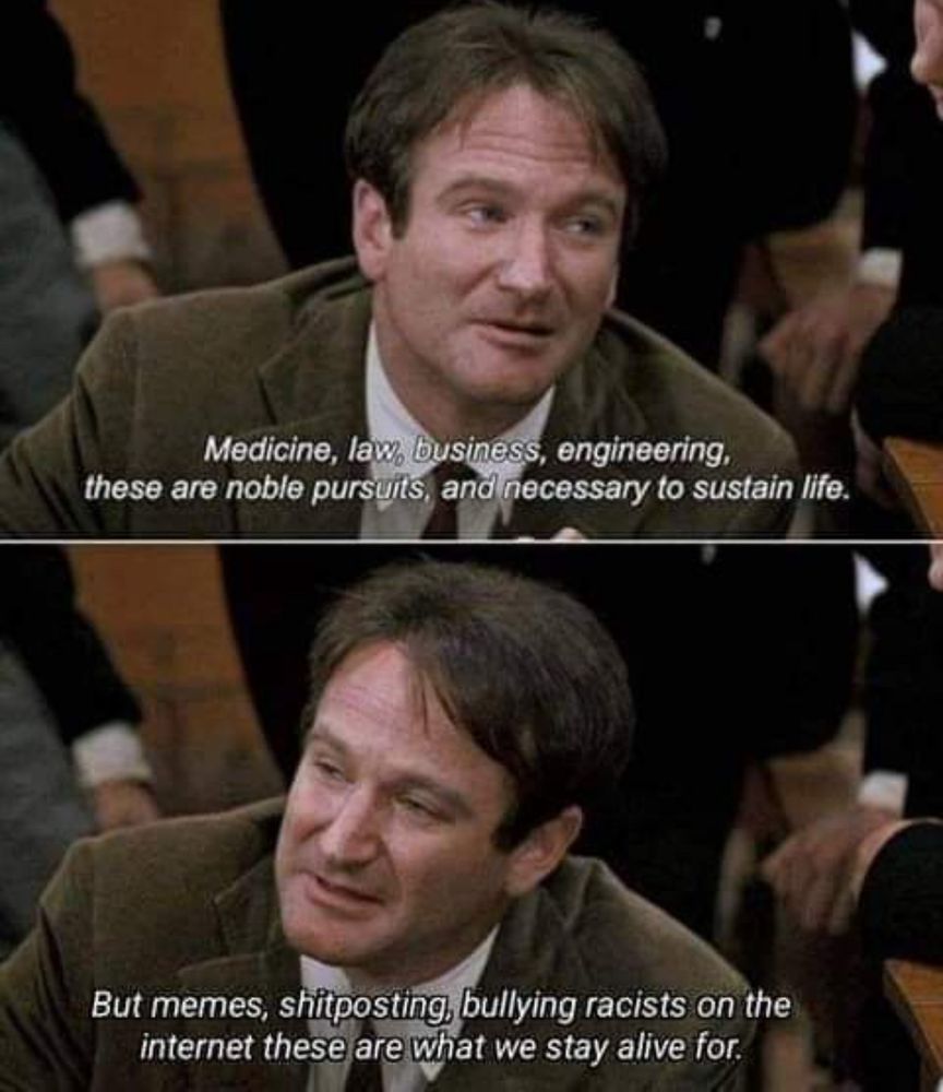 robin williams in 'Dead Poets Society' saying

Medicine, law, business, engineering, these are noble pursuits and necessary to sustain life.

But memes, shitposting, bullying racists on the internet these are what we stay alive for