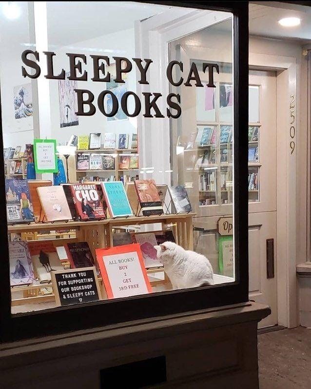 shop window of Sleepy Cat Books, f
with a sleepy cat sitting there front and center 