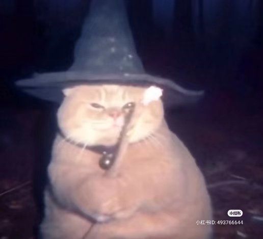 cat in a witch hat with a wand making a scrunched up face 