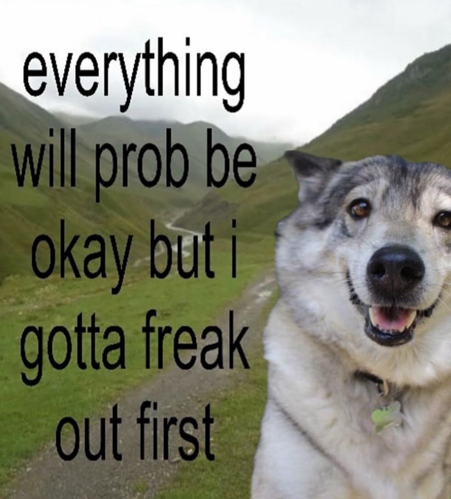 photo of a concerned looking dog against a background of green hills captioned 

everything will prob be okay but I gotta freak out first 