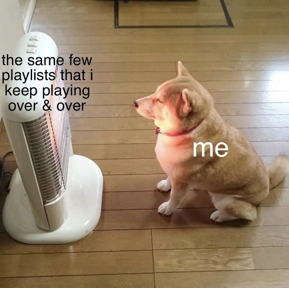 dog labeled 'me' basking in the glow of a space heater radiating warmth labeled 'the same few playlists that I keep playing over and over'