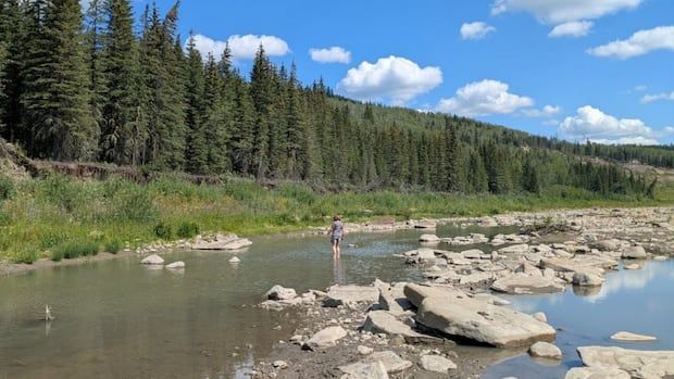 The City of Dawson Creek is looking to fast-track an estimated $100-million water pipeline as an unprecedented, years-long drought threatens the city’s only source of drinking water.