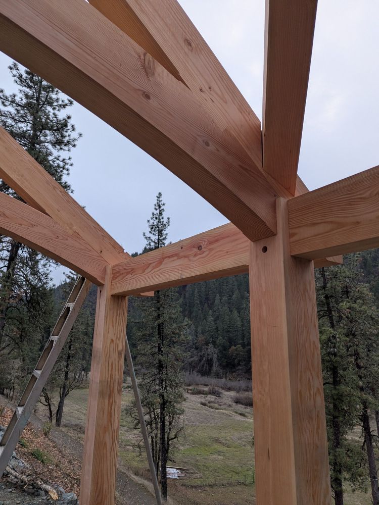 Timber framing detail. Multiple truss heels on a plate line over posts.  Pavilion. 