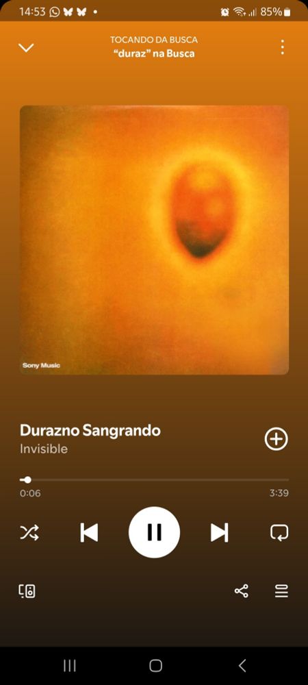 Durazno Sangrando - Invisible