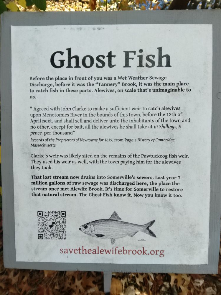 "Ghost Fish" plaque along the Alewife Brook path