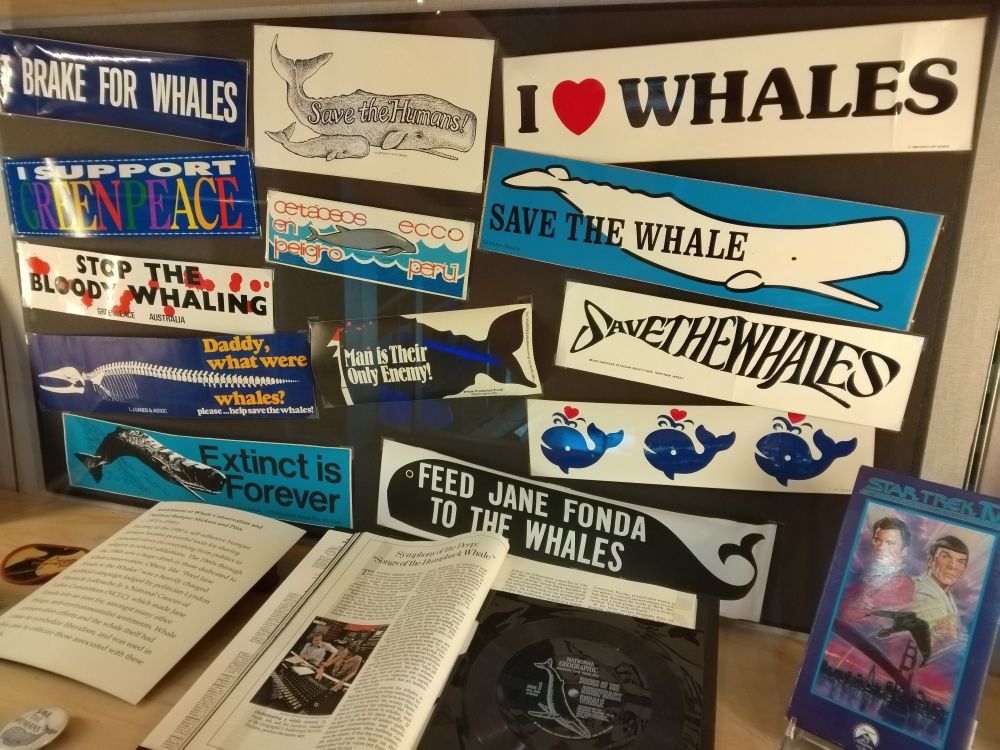 Whale-related bumper stickers