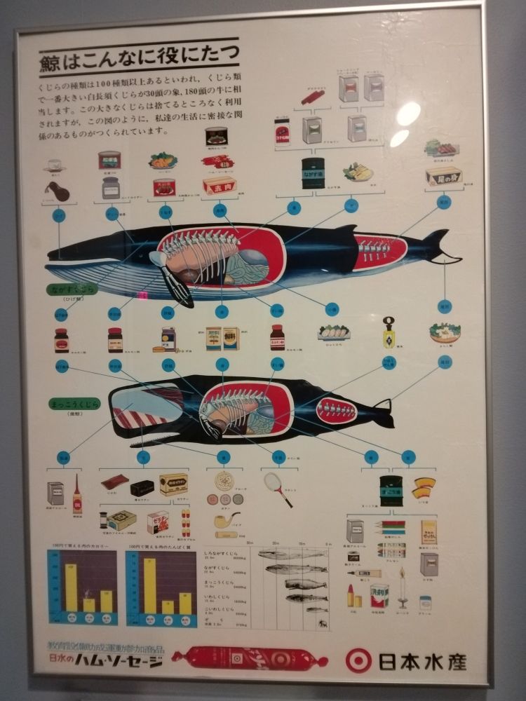 A Japanese poster showing products derived from whales