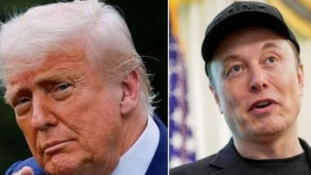 Trump sinaliza que poderia deportar Elon Musk após críticas do empresário | CNN Brasil