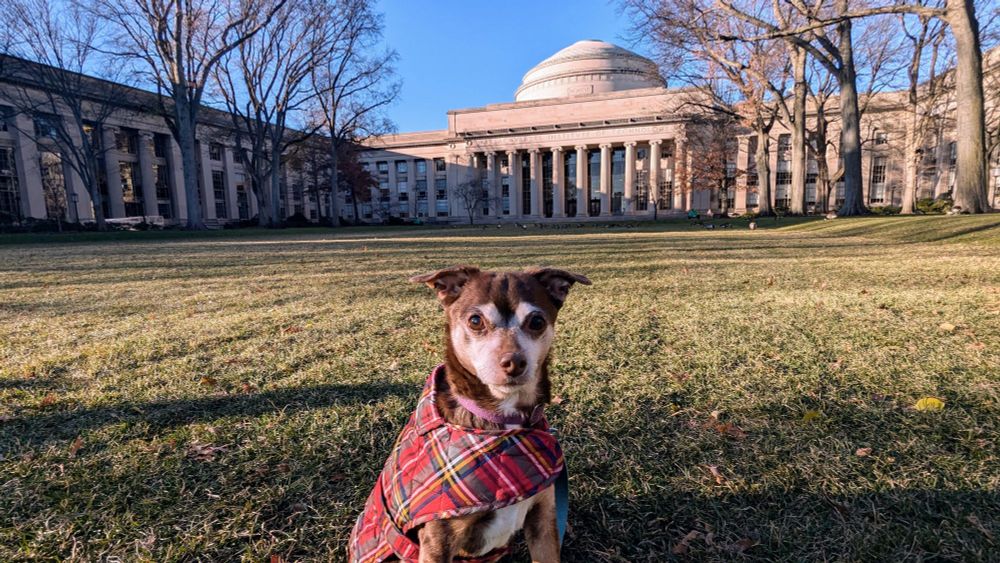 Dog in a jacket sitting in front of the MIT Great Dome