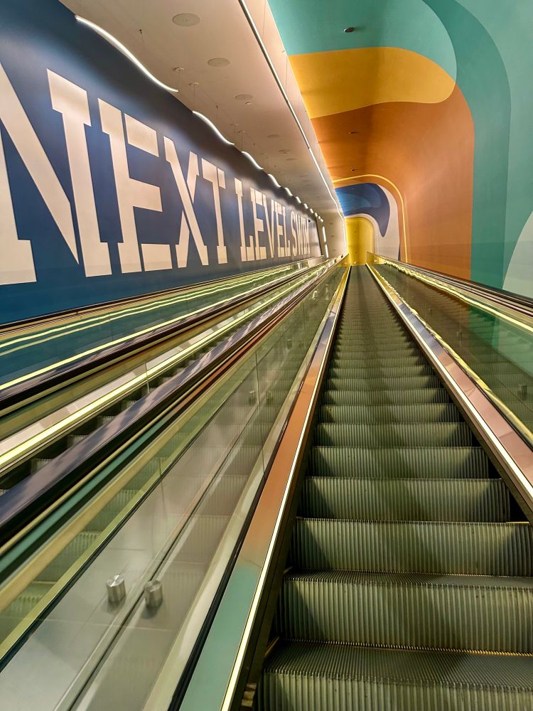 The wildly, Long escalator to stadium swim
