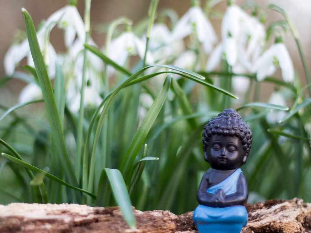 A toy buddha female with a bun hairstyle with dark colour face and blue robe on a log of a tree surrounded by white bell type flowers and greenery. Hand palms together in meditative pose.