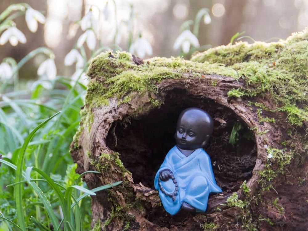 A toy buddha with dark colour face and blue robe in a hollow of a log surrounded by white bell type flowers and greenery. Also holding q set of prayer beads.