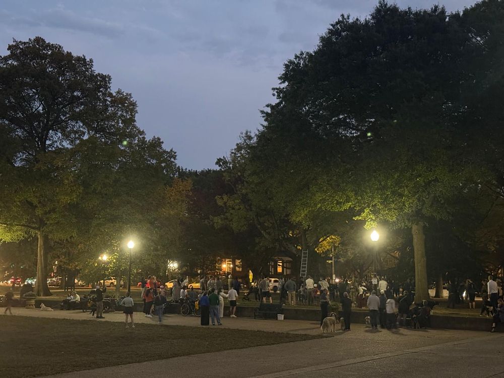 A bunch of people standing around looking at a cat stuck in a tree. 
