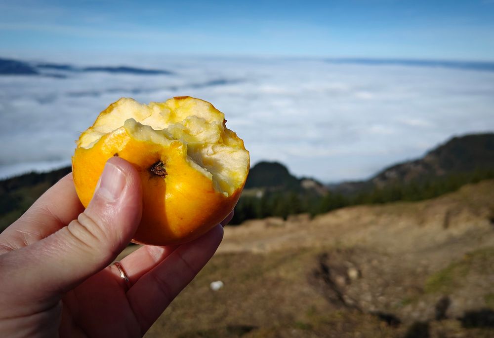 Blick von der Hohen Kugel ins Rheintal. Unten im Tal Nebel. Im Vordergrund ein angebissen er Apfel.