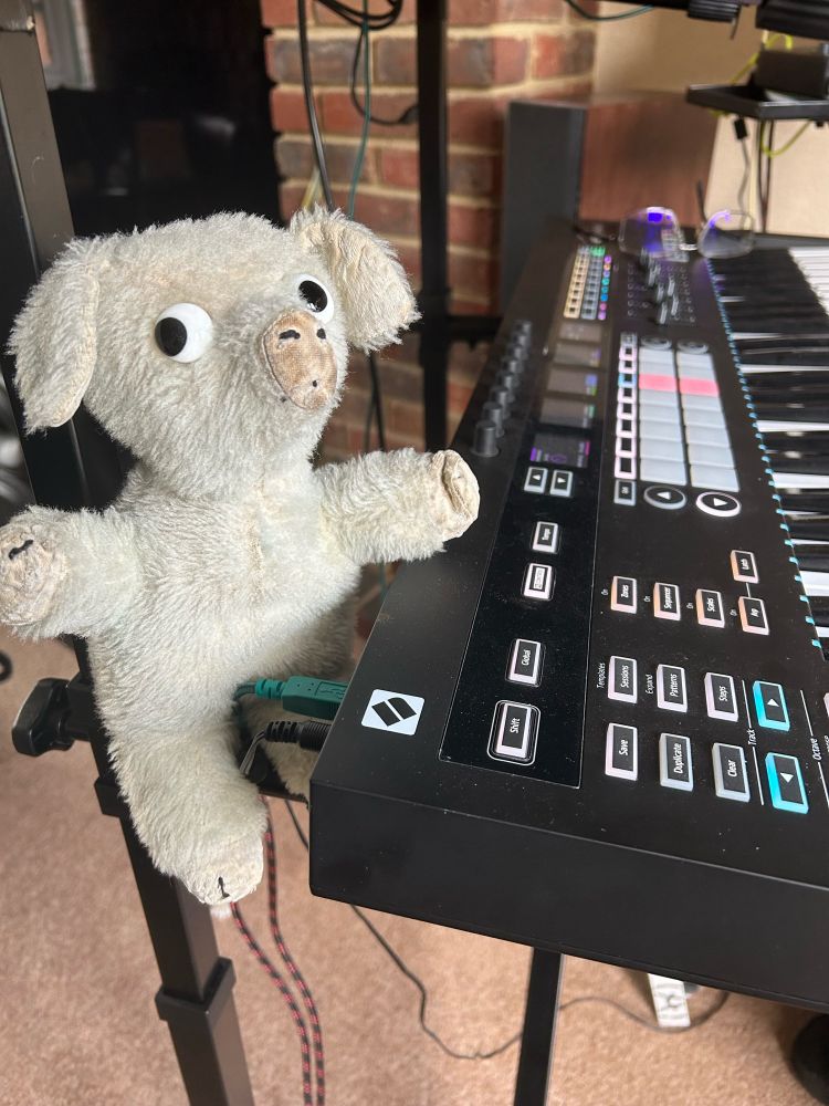 Elderly stuff toy known as PinkyPerky (age 62) listens to the synth nerds bleeping and droning. 
Image shows grey pig with weird eyes looking towards the camera perched on a novation keyboard
