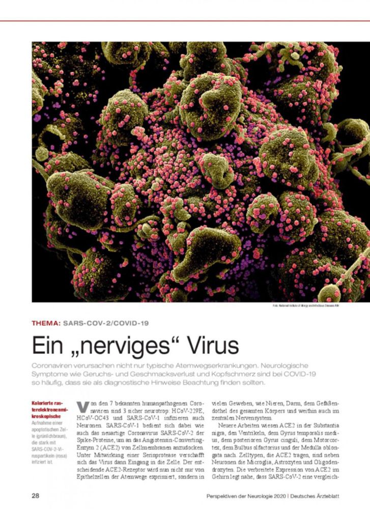 Thema: SARS-CoV-2/COVID-19 – Ein „nerviges“ Virus