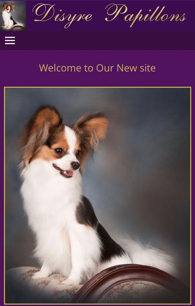 Disyre Papillons. It’s most advanced feature is cursive. 