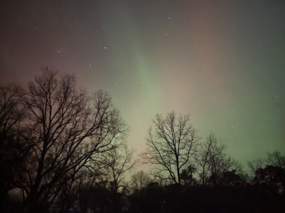 A view of the aurora borealis with a few trees.
