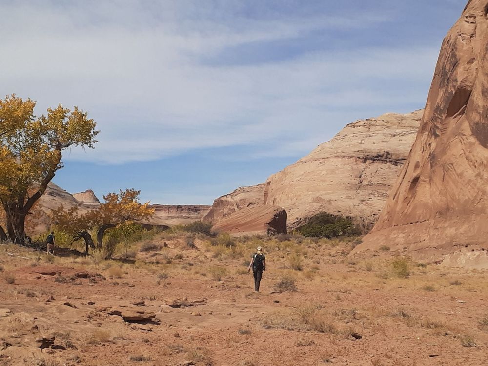 A dumbass walking in a desert.