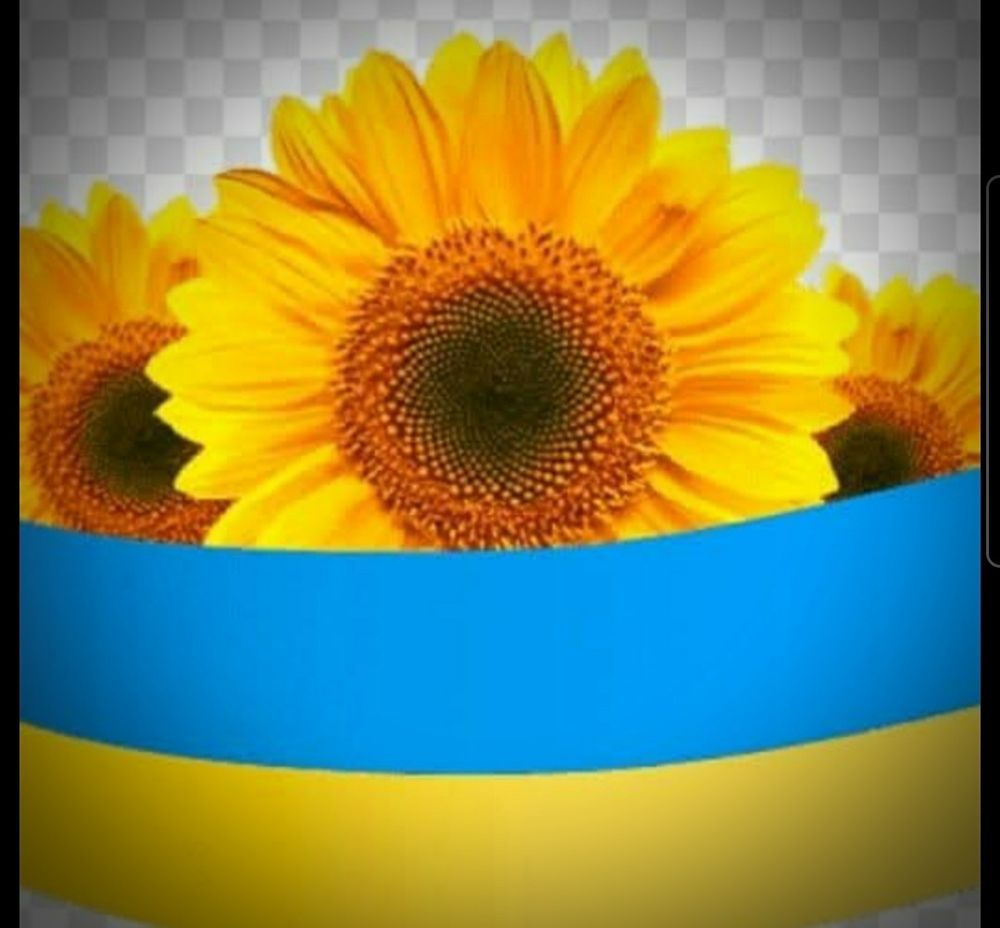 Comment image