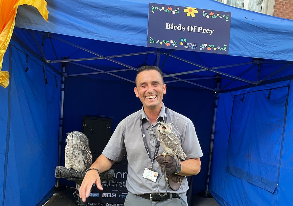Birds of Prey in Postman's Park Midsummer Fayre