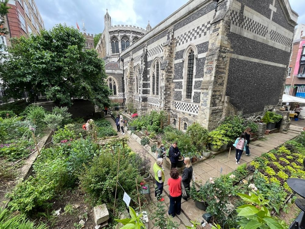 Garden at Great St Barts, Smithfield