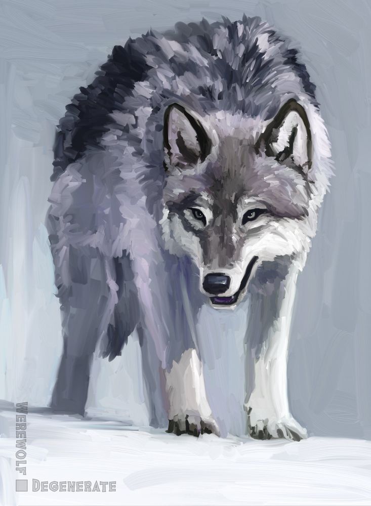 Wolf speedpaint