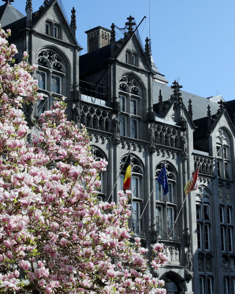 Le Palais des Princes-Évêques de Liège 