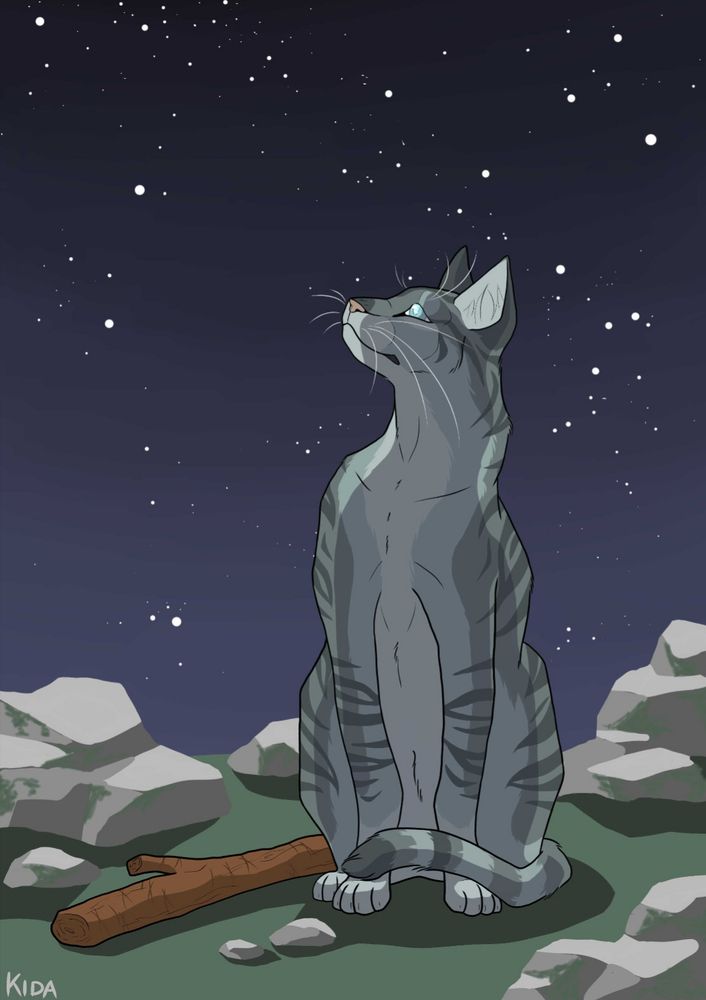 Digital drawing of Jayfeather with his stick, looking at a sky full of stars 
