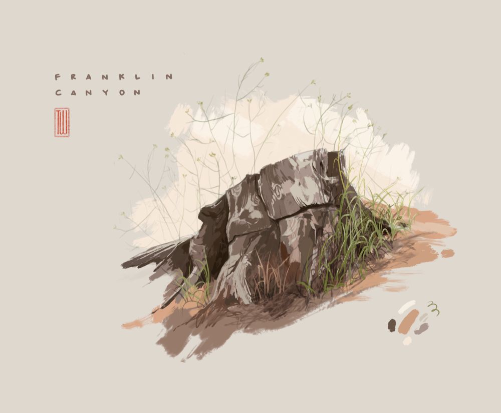 A rendered illustration of an old tree stump, surrounded by various grasses. The background is a light beige, with light tones framing the stump, and the text “Franklin Canyon” is written in the upper right corner. 